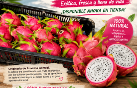 ¡La pitaya ya está en Frujuaida!